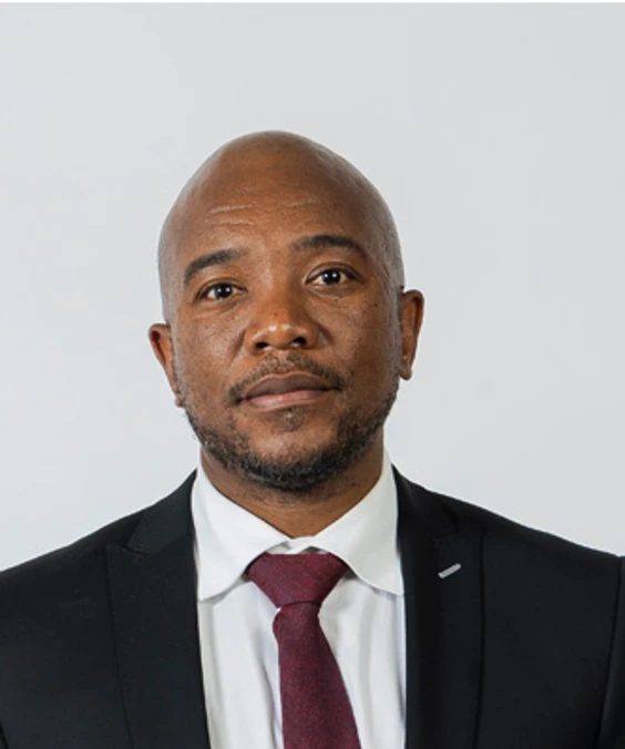 Portrait of MA Maimane